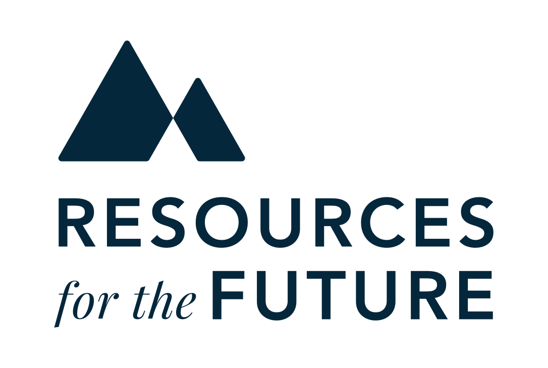 Bildresultat för resources for the future